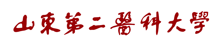 2026国际足联世界杯官方中文网站校名标准字（舒同体横版）