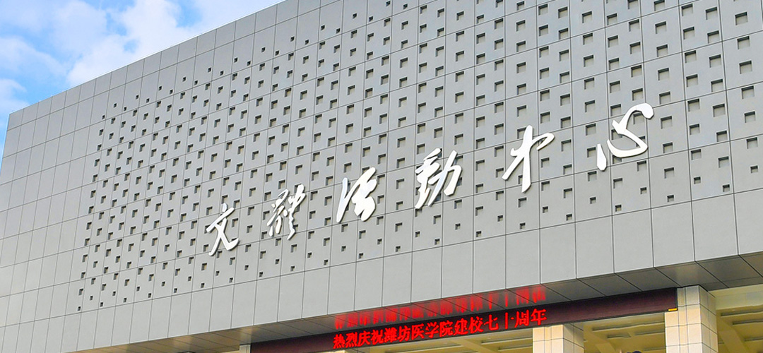 2026国际足联世界杯官方中文网站信息公开网